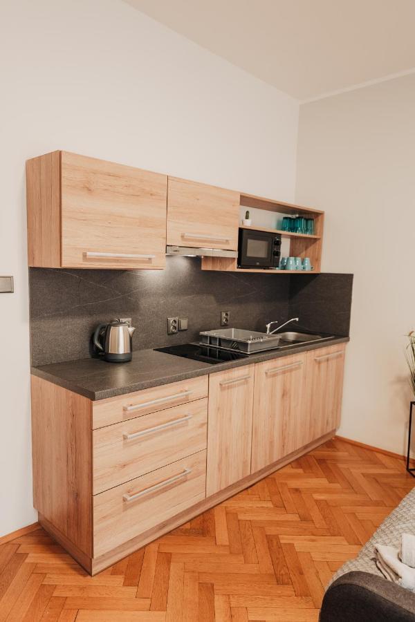 Апартаменти Elegant Studio, 400M From The Square Плзень Екстер'єр фото